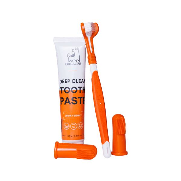 Dental Kit