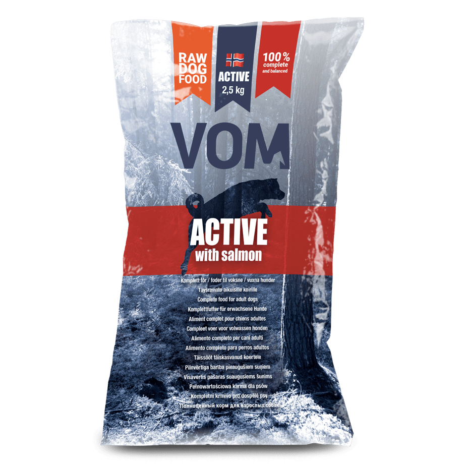 Active with Salmon 2,5 kg