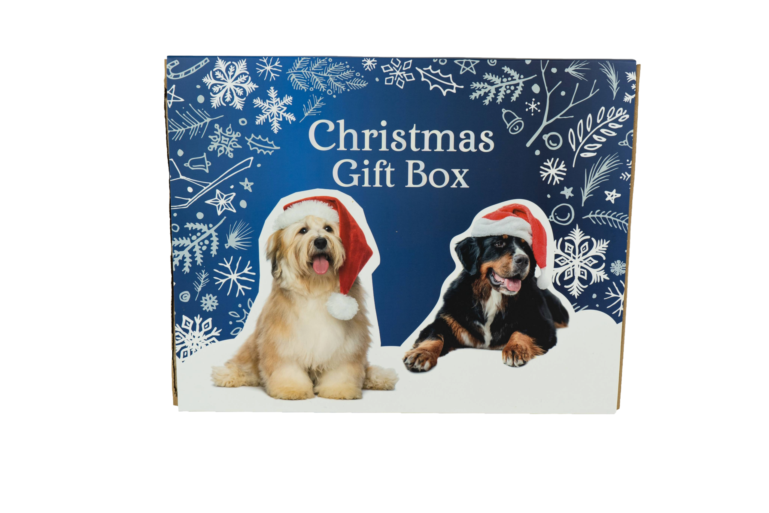 Treateaters Christmas Gift Box