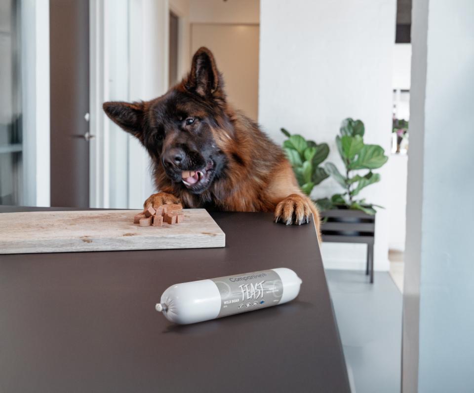 Companion+ FEAST foderpølse til hunde, Hjort - Billede 2